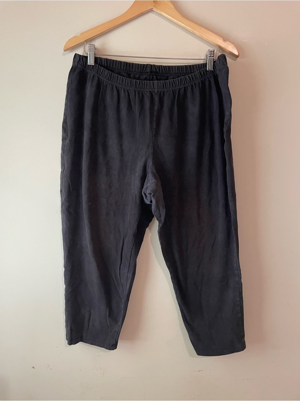 🐱 Just My Size | sz 2x Capri Leggings